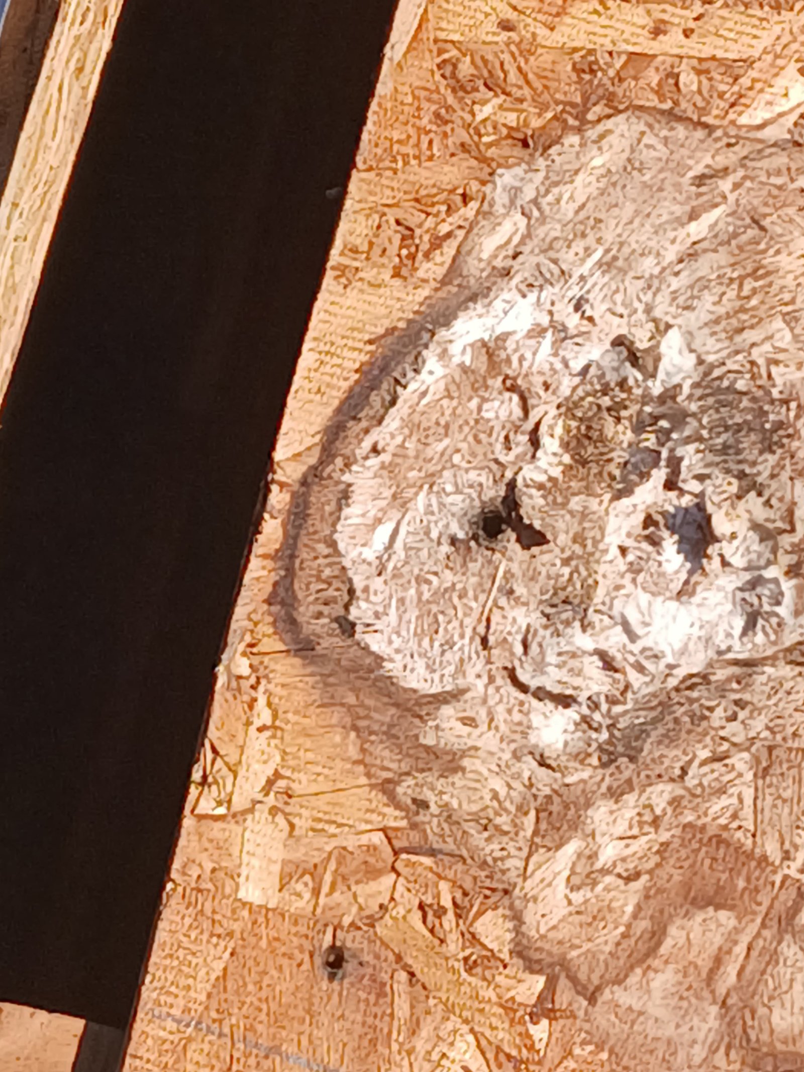 Legacy RE Capital Group